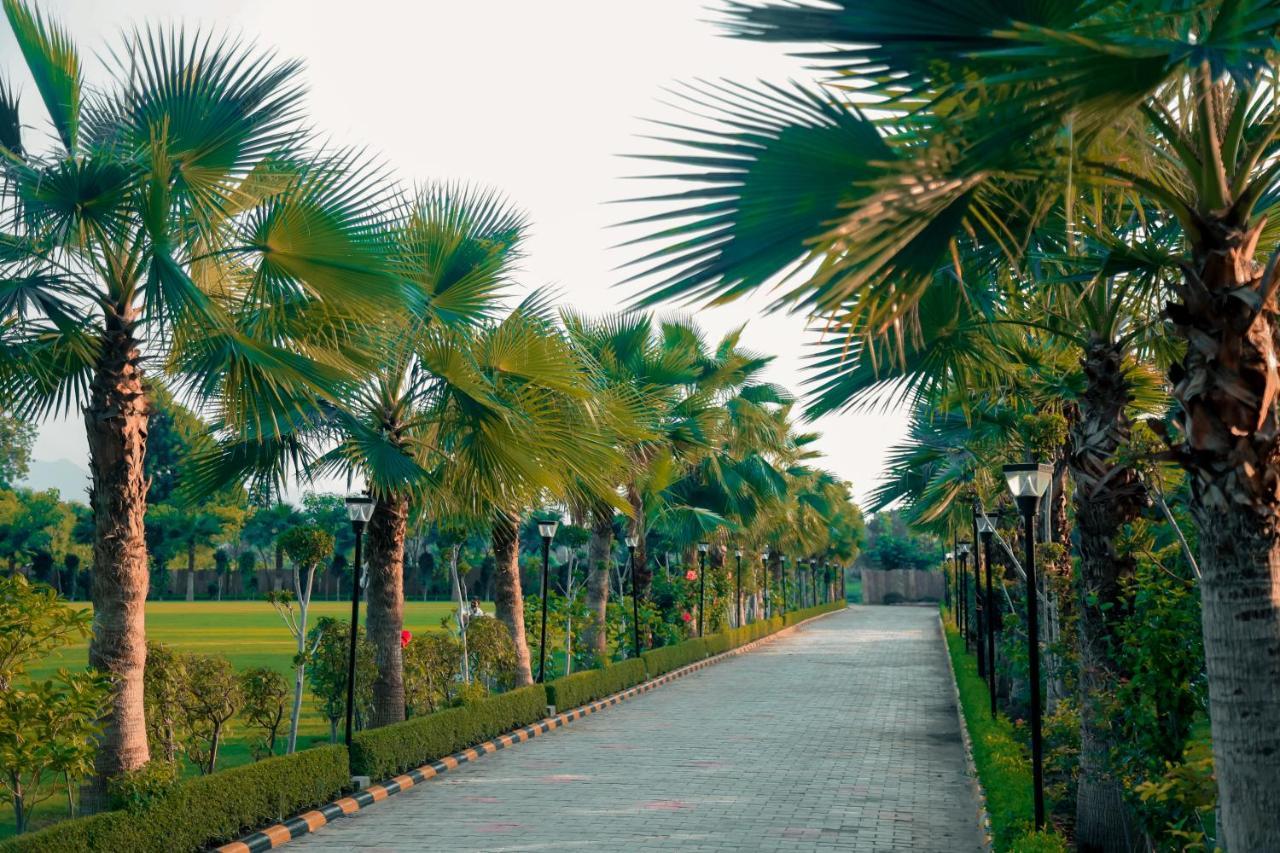 Pride Resort & Convention Center Ranakpur Near Ranakpur Dam Sādri Buitenkant foto